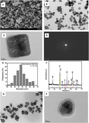 Lanthanide-Doped Upconversion-Linked Immunosorbent Assay for the Sensitive Detection of Carbohydrate Antigen 19-9